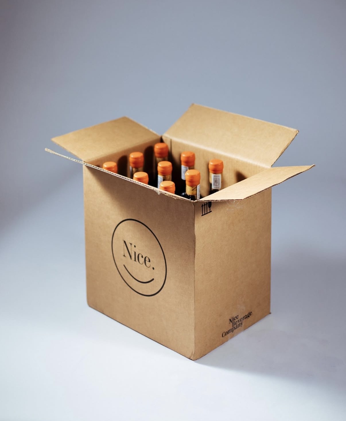 The Nice Discovery Case — mixed case packaging